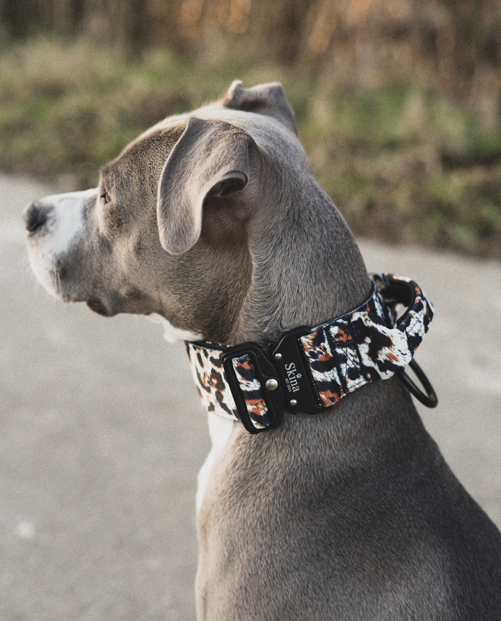 Taktisches Halsband mit Sicherheitsschnalle &amp; Haltegriff „Leo Muster Schwarz“