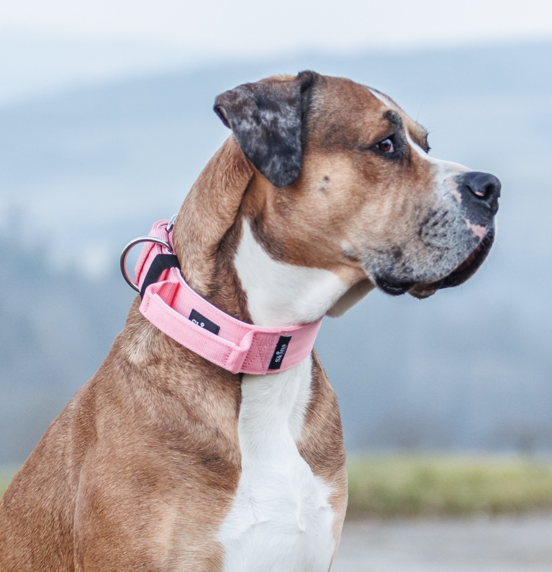 Halsband mit Haltegriff & Rollschnalle "Rosa"