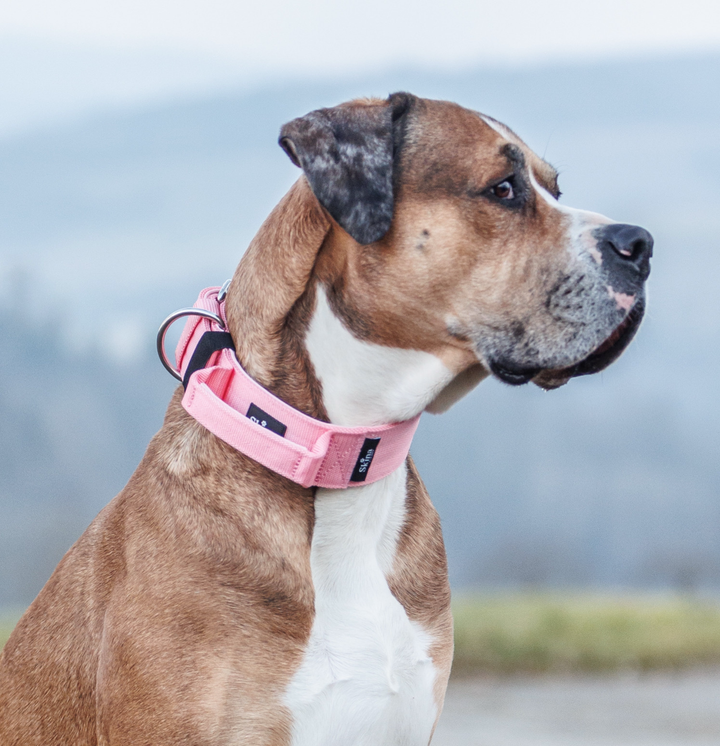 Halsband mit Haltegriff &amp; Rollschnalle "Rosa"
