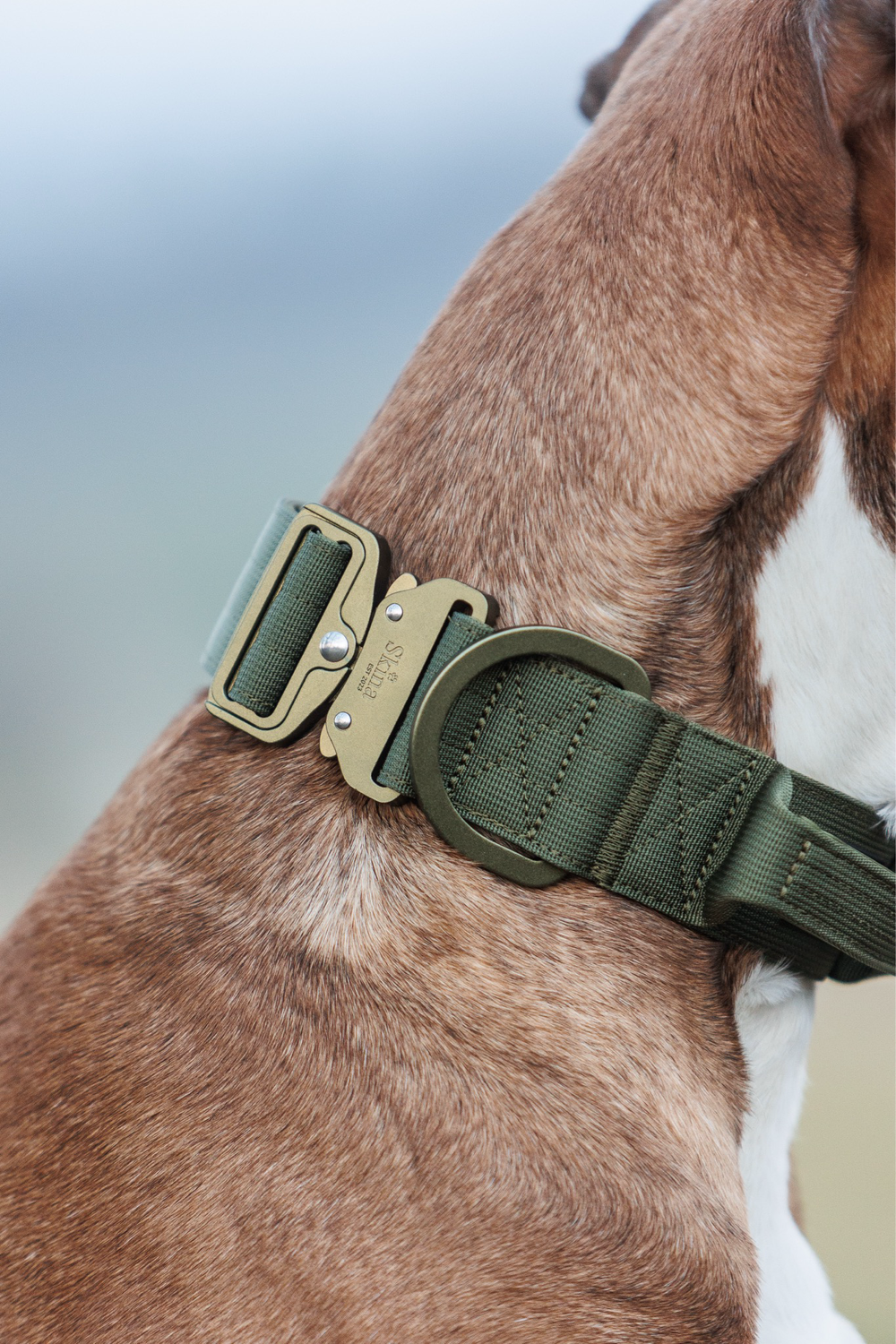 Ultra leichtes Halsband mit Sicherheitsschnalle & Haltegriff "Olive"