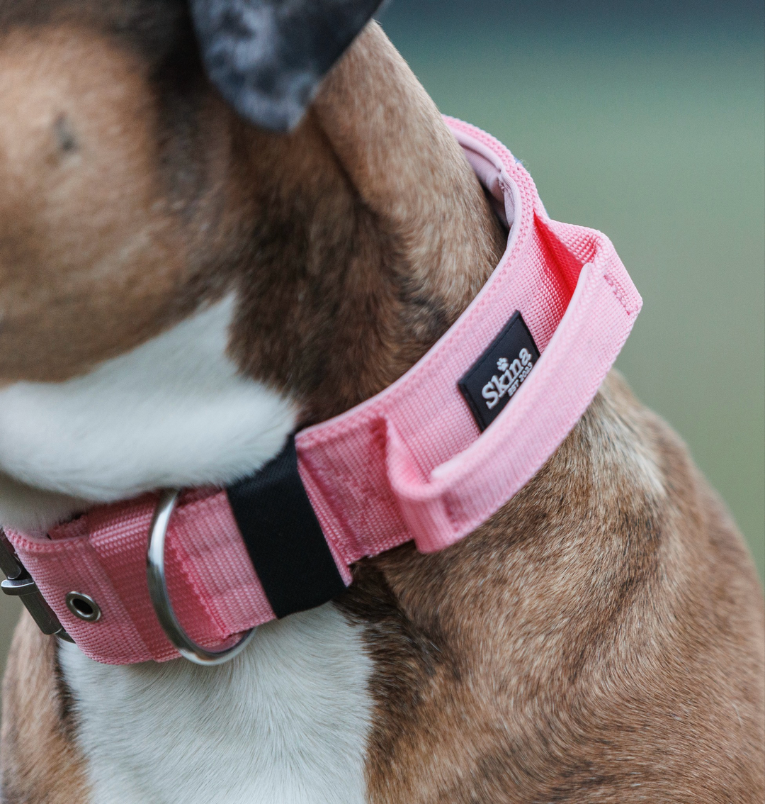 Halsband mit Haltegriff &amp; Rollschnalle "Rosa"