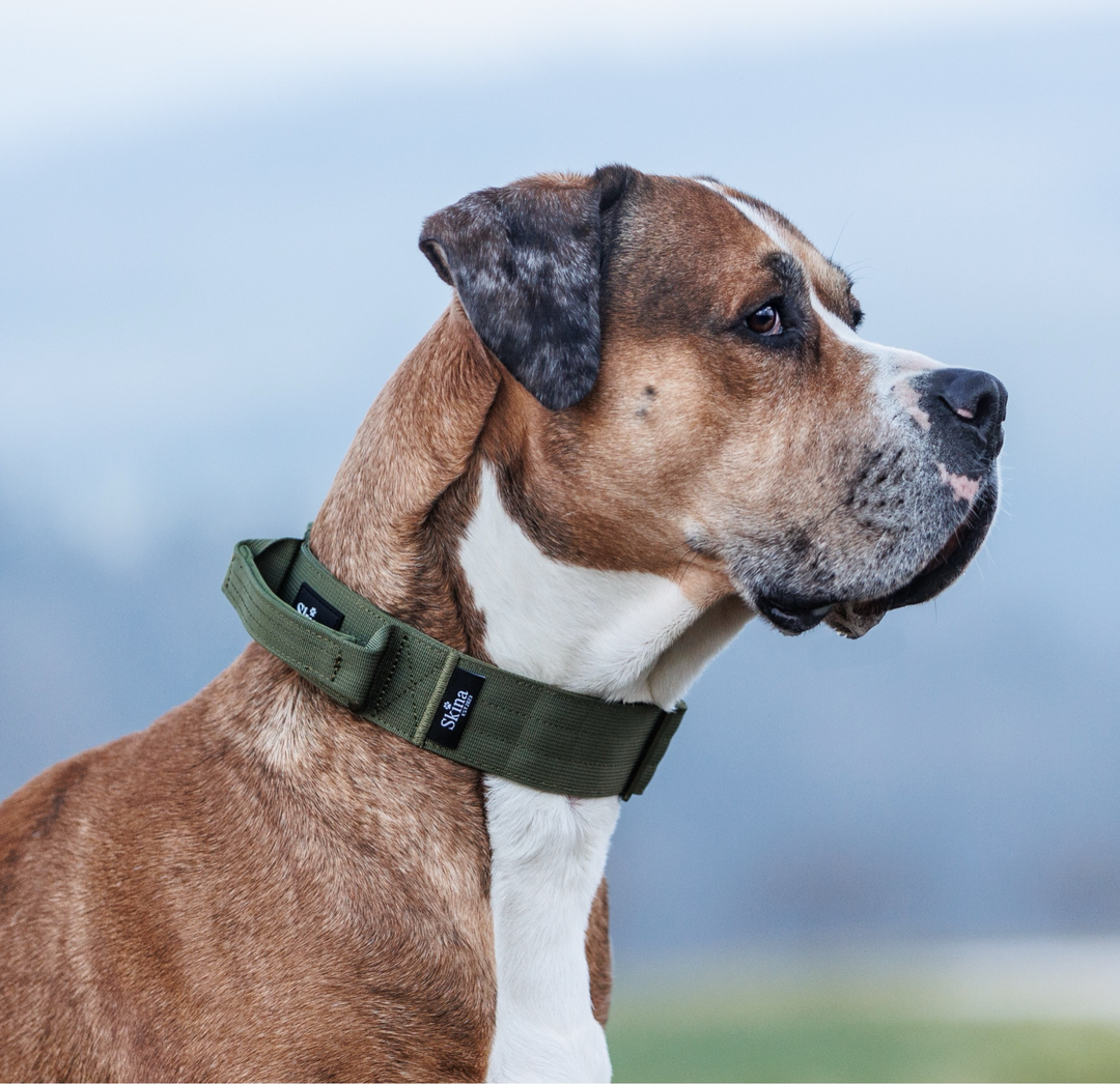 Ultra leichtes Halsband mit Sicherheitsschnalle & Haltegriff "Olive"