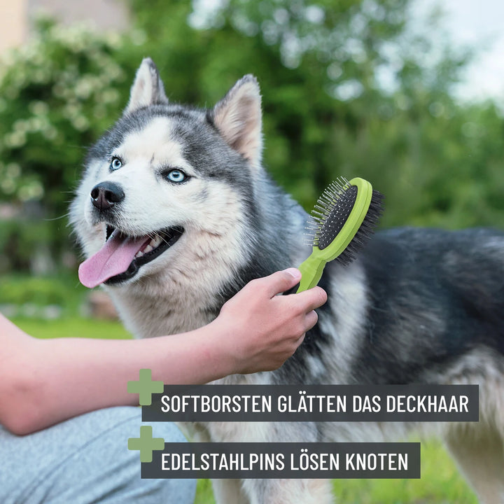 Bürste 2in1