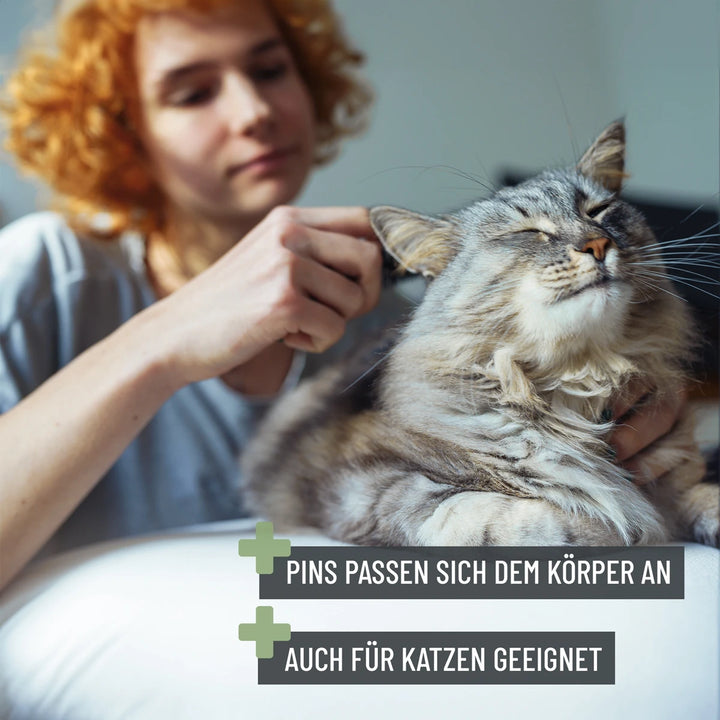 Bürste 2in1