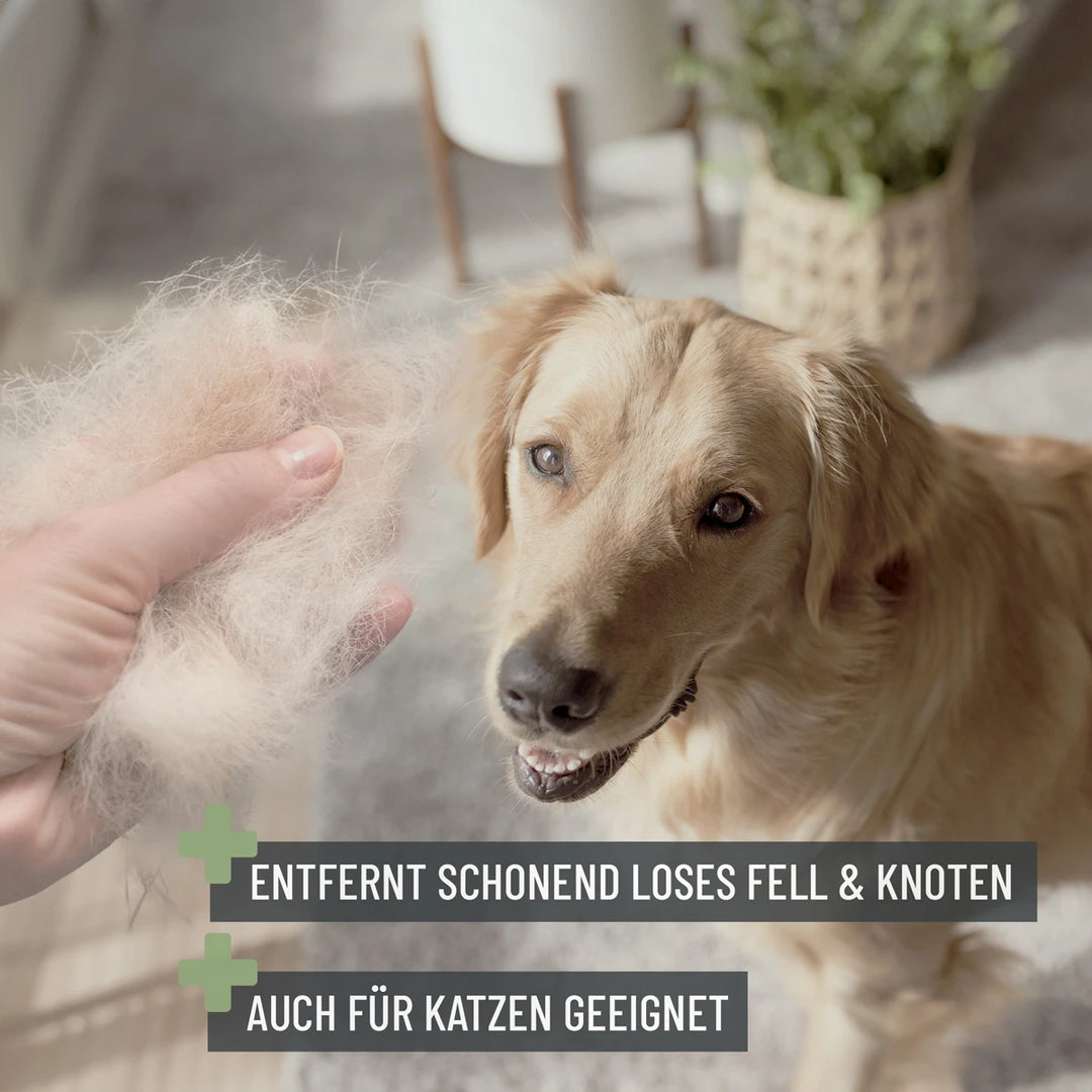 Zupfbürste