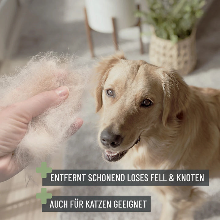 Zupfbürste