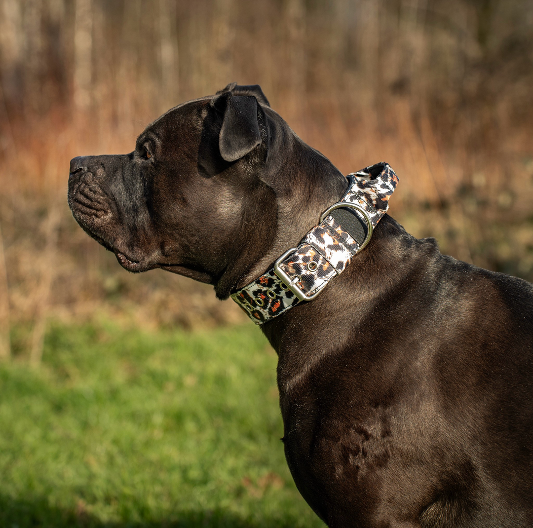 Halsband mit Haltegriff & Rollschnalle "Leoprint"