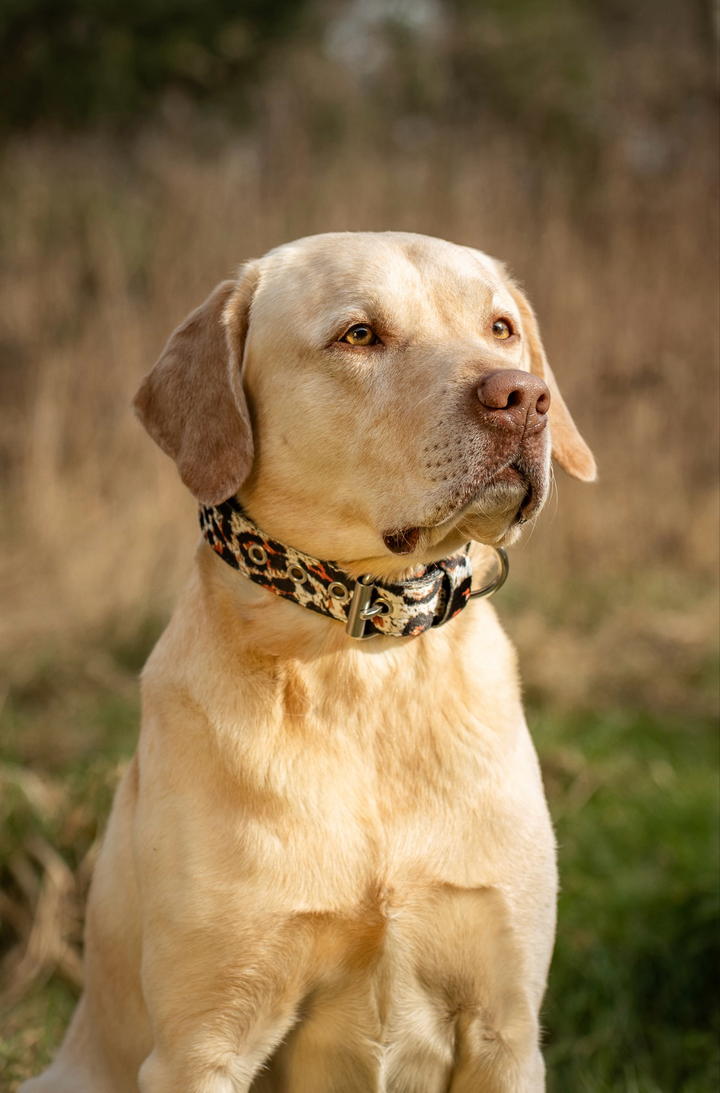 Halsband mit Haltegriff &amp; Rollschnalle "Leoprint"