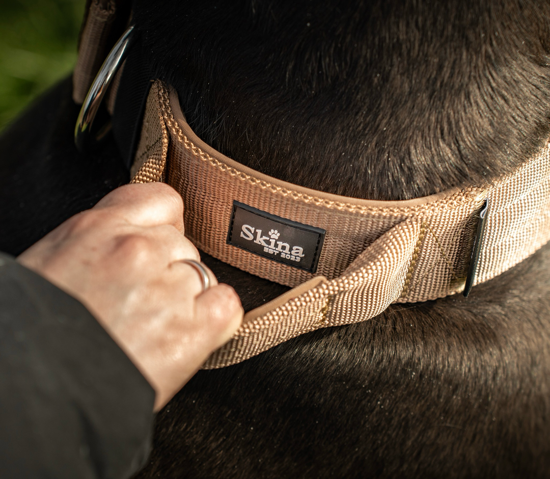 Halsband mit Haltegriff &amp; Rollschnalle "Braun"