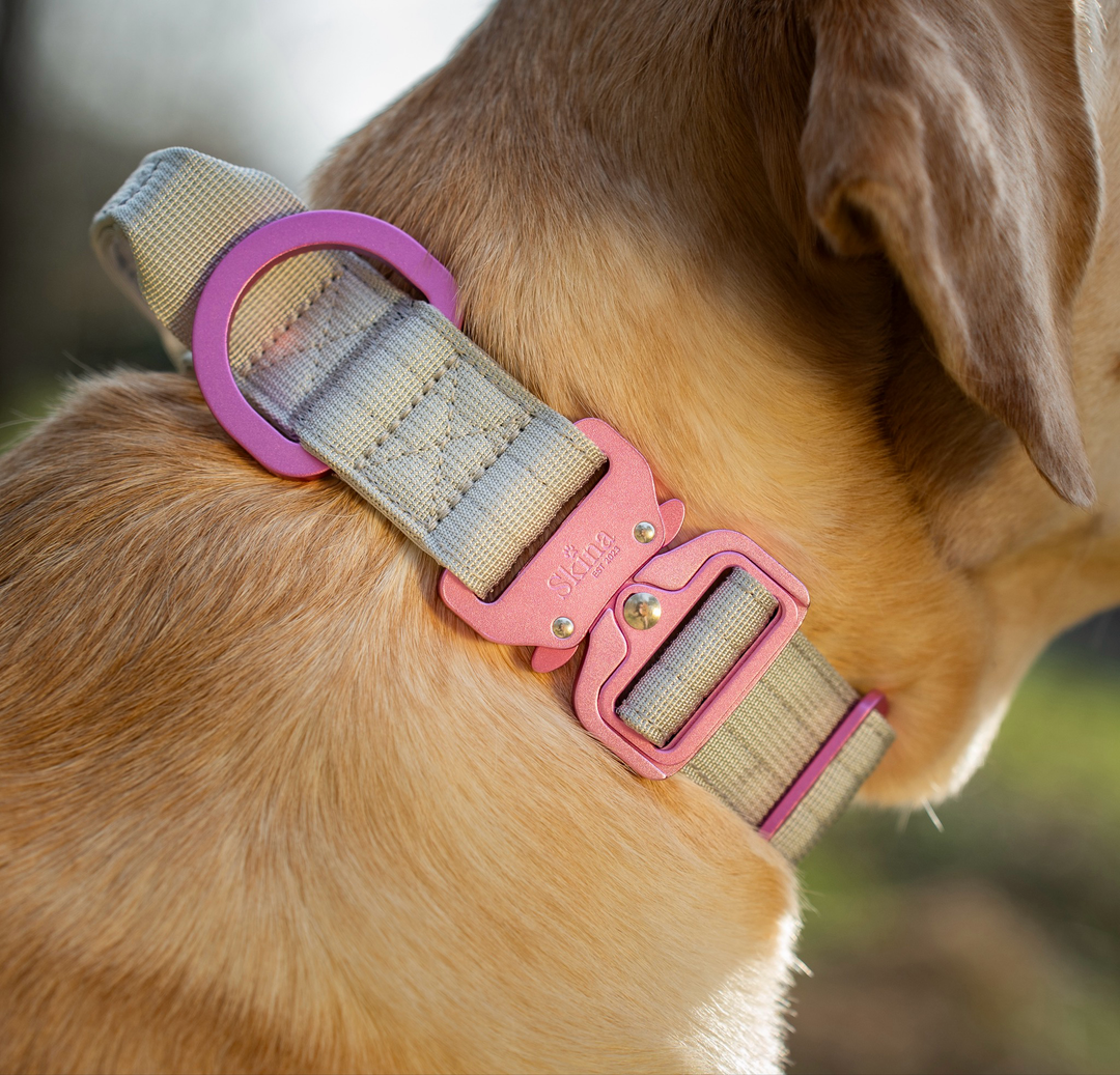 Ultra leichtes Halsband mit Sicherheitsschnalle &amp; Haltegriff "Grau"