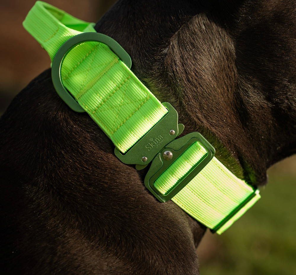 Ultra leichtes Halsband mit Sicherheitsschnalle & Haltegriff "Neon Grün"