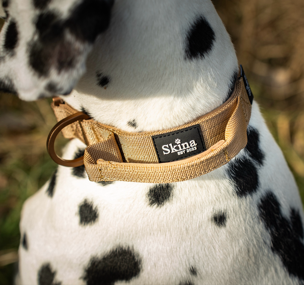 Ultra leichtes Halsband mit Sicherheitsschnalle & Haltegriff "Braun"