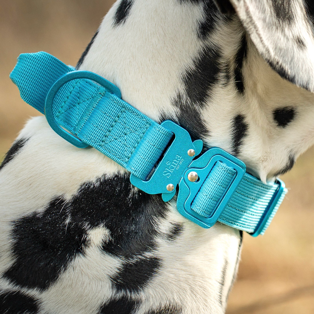 Ultra leichtes Halsband mit Sicherheitsschnalle & Haltegriff "Blau"