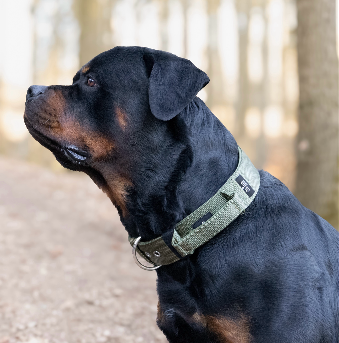 Halsband mit Haltegriff & Rollschnalle "Olive"