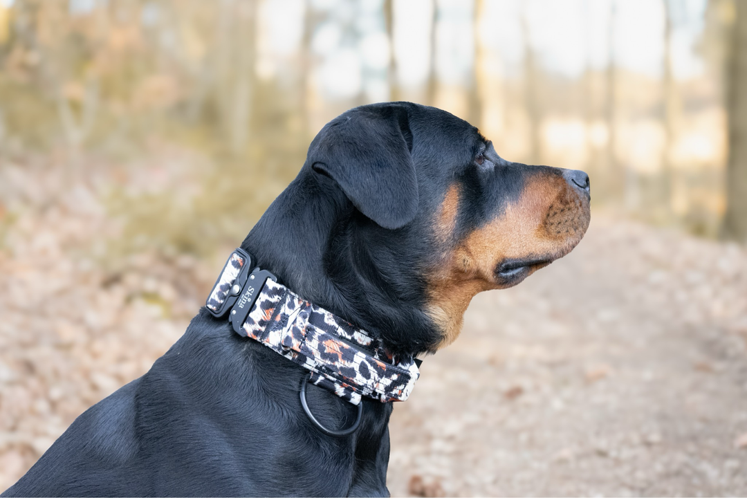 Taktisches Halsband mit Sicherheitsschnalle &amp; Haltegriff „Leo Muster Schwarz“