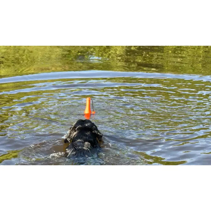 Dog Comets Bobber ( Wasserspielzeug )