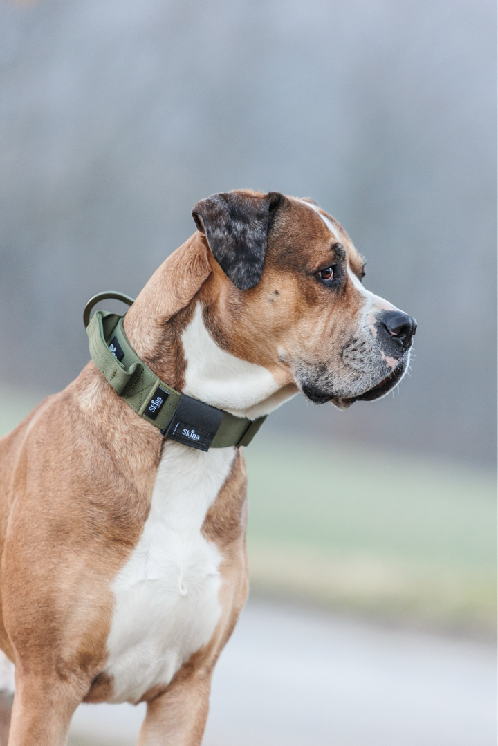 Hundemarkentasche Skina