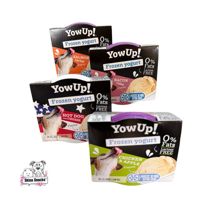 YowUp! Frozen yogurt