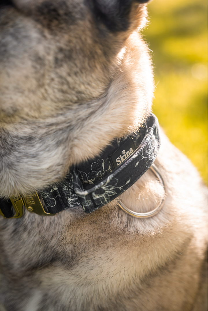 Taktisches Halsband mit Sicherheitsschnalle &amp; Haltegriff „Taktisches Halsband mit Sicherheitsschnalle &amp; Haltegriff "FLOWER"“