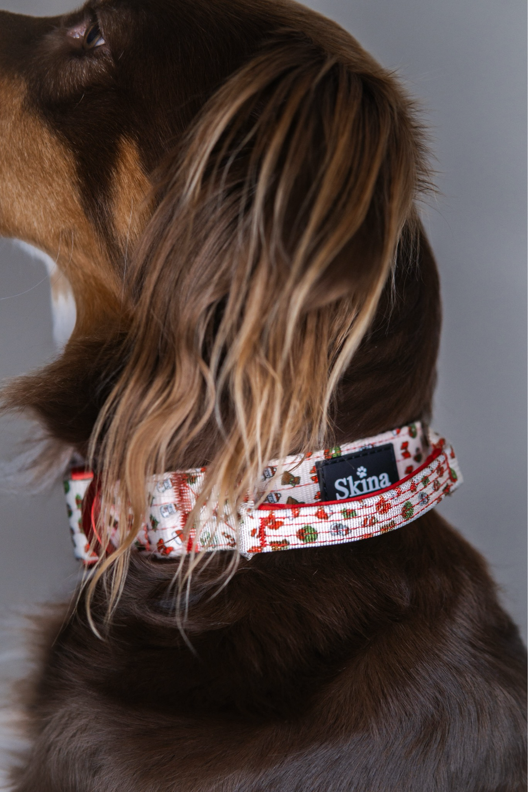 Ultra leichtes Halsband mit Sicherheitsschnalle &amp; Haltegriff "X-MAS"