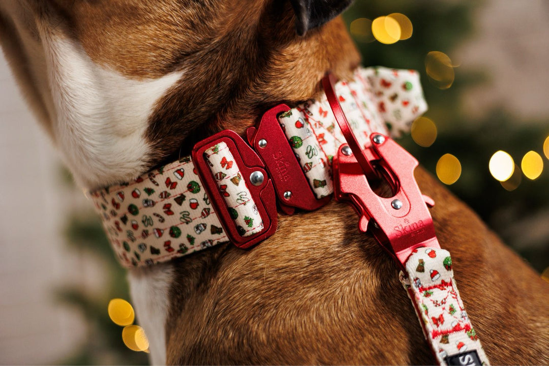 Ultra leichtes Halsband mit Sicherheitsschnalle &amp; Haltegriff "X-MAS"