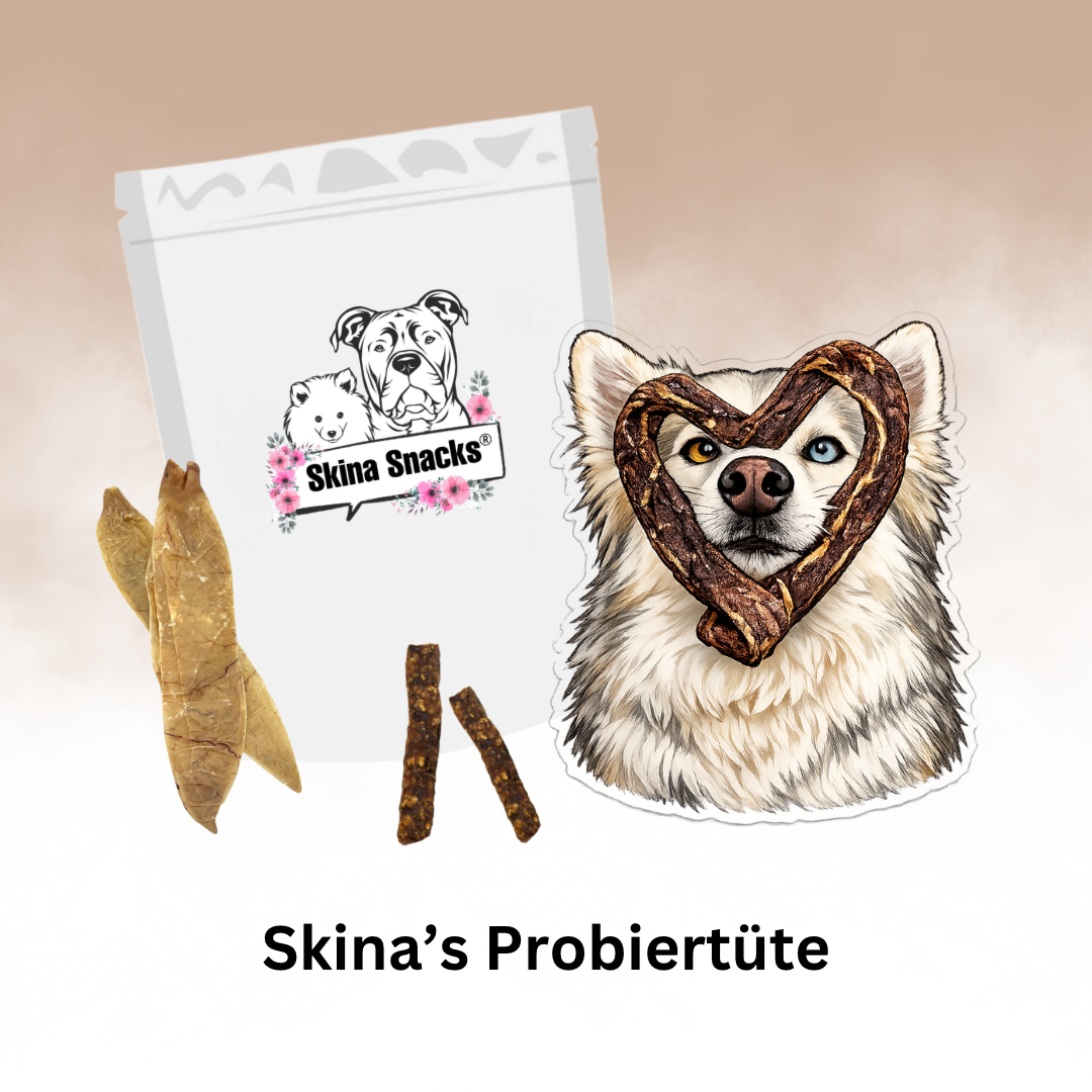 Skina-Snacks Probiertüte
