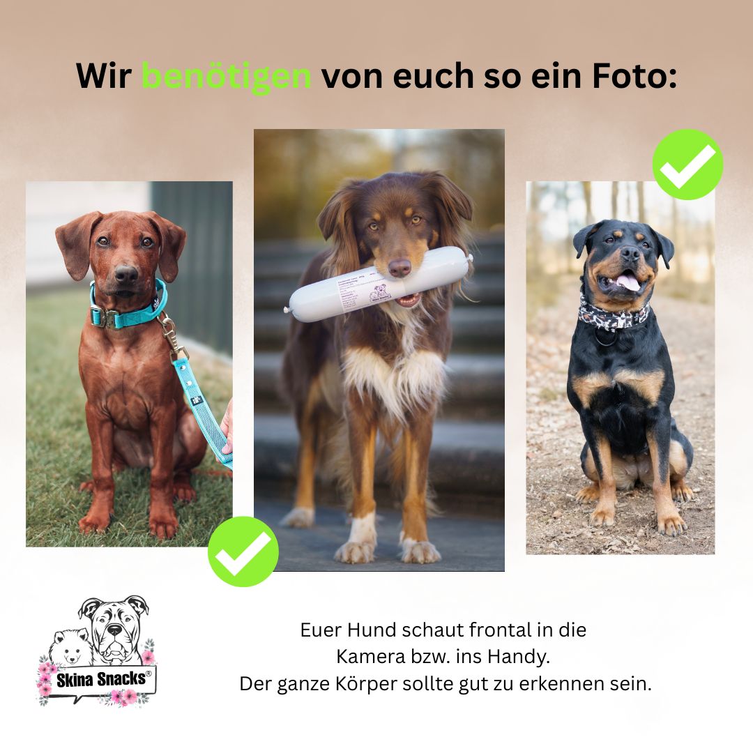Wunsch Probiertüte