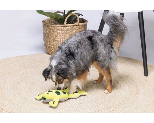 beeztees Plüsch Hide And Seek Frosch 31 cm