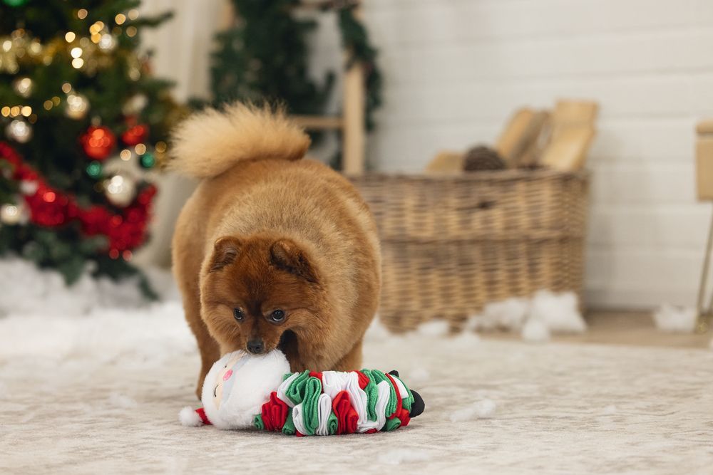 XMAS Beeztees Schnüffel Weihnachtsmann 27cm